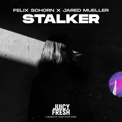Stalker By Felix Schorn, Jared Mueller's cover