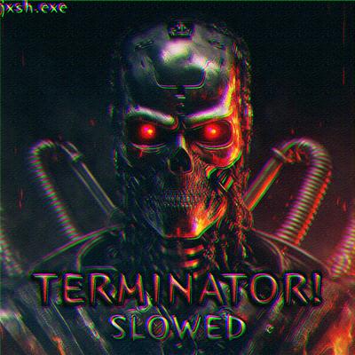 TERMINATOR! (SLOWED)'s cover