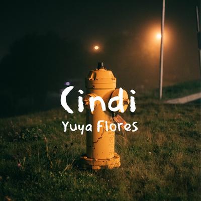 Cindi's cover