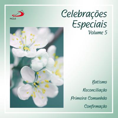 Celebrações Especiais - V's cover