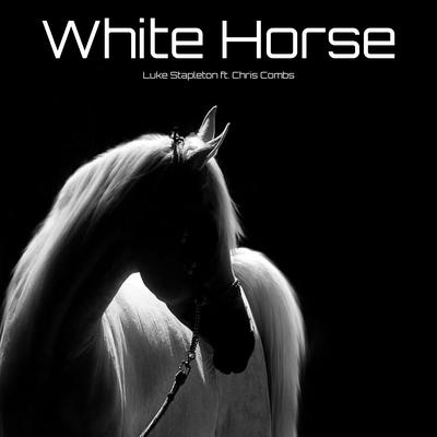 White Horse (feat. Chris Combs) By Luke Stapleton, Chris Combs's cover