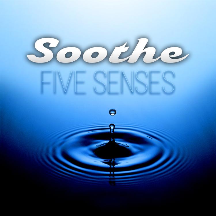 Soothing Music Specialists's avatar image