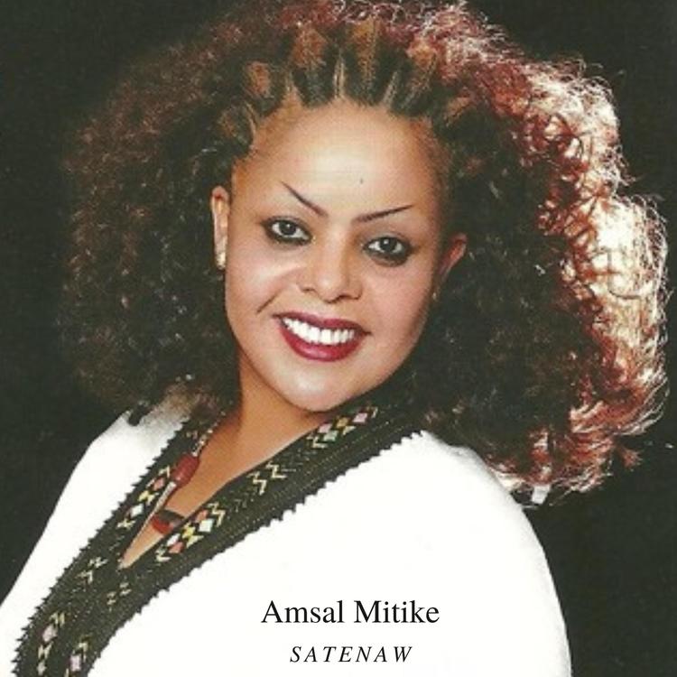 Amsal Metike's avatar image