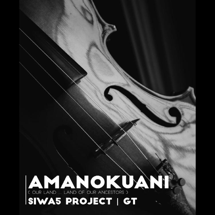 Siwa5 Project's avatar image