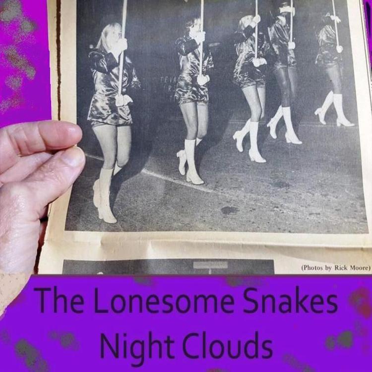 The Lonesome Snakes's avatar image