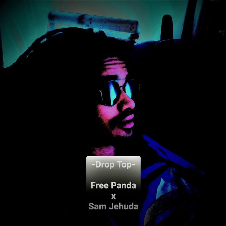 Free Panda's avatar image