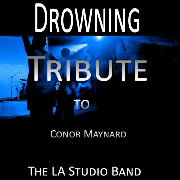 The L A Studio Band's avatar image
