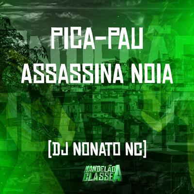 Pica-Pau Assassina Noia By Dj Nonato Nc's cover