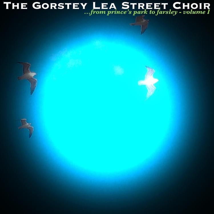 The Gorstey Lea Street Choir's avatar image