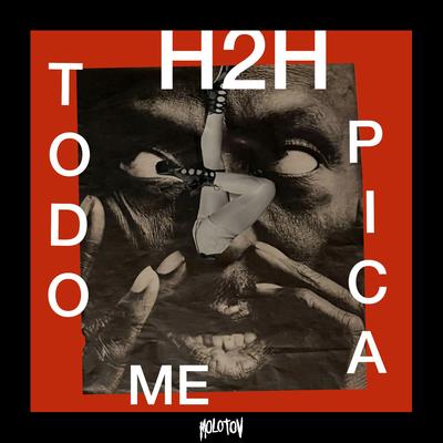 H2H (Todo Me Pica) By Molotov's cover