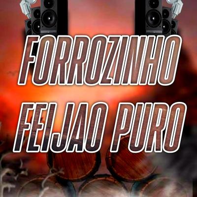 Forrozinho Feijão Puro By Dance Comercial Music's cover