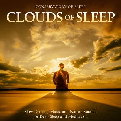 Dream Clouds By Conservatory of Sleep's cover