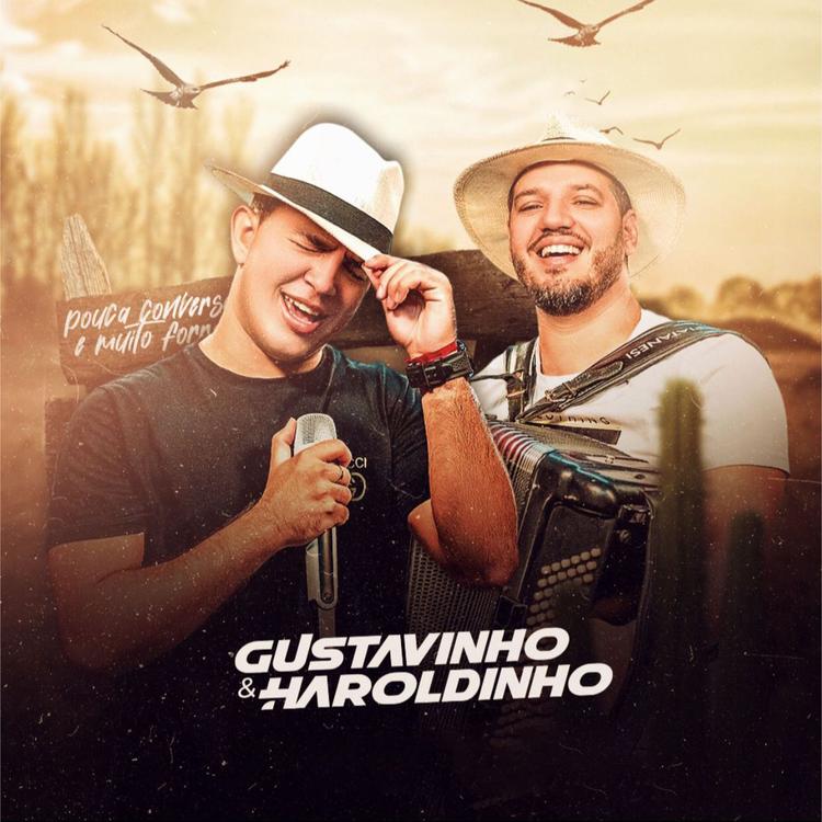 GUSTAVINHO & HAROLDINHO's avatar image