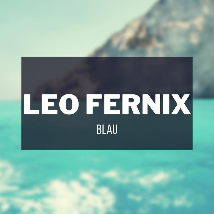 Leo Fernix's avatar image