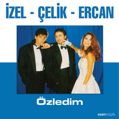 Özledim's cover