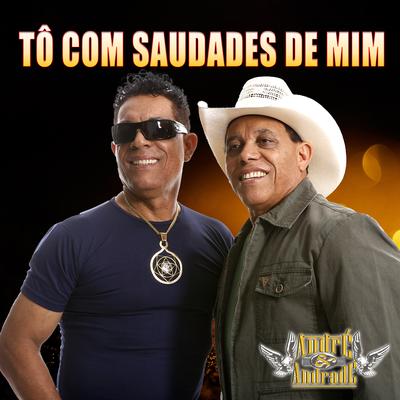 Tô Com Saudade de Mim By André & Andrade's cover