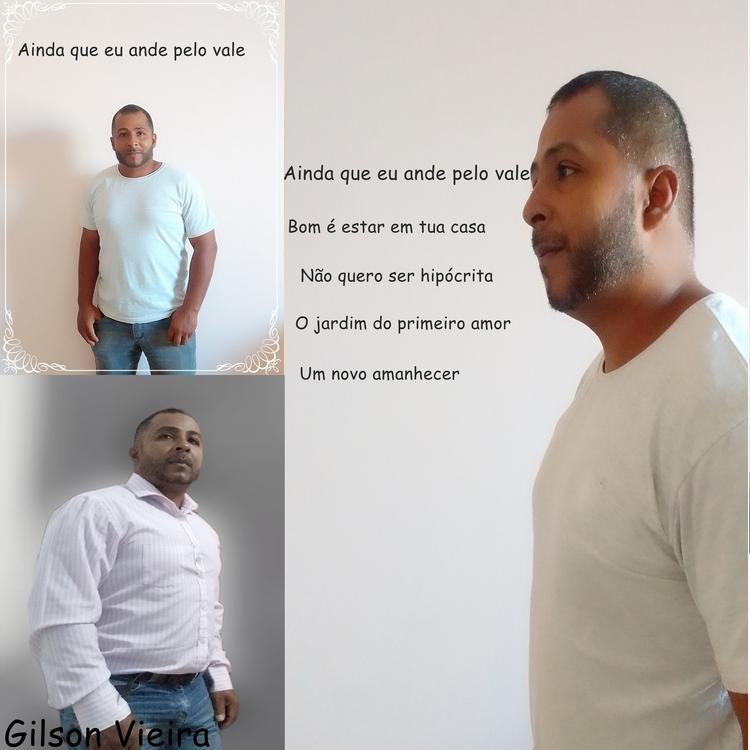 Gilson Vieira dos Santos's avatar image