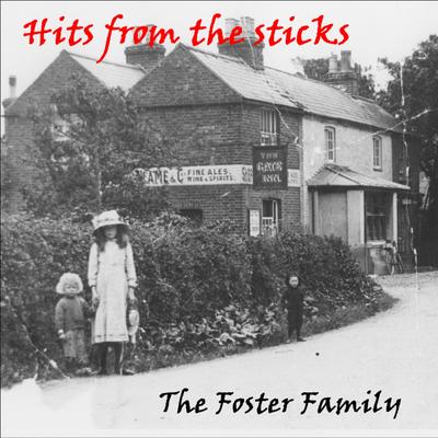 Hits from the sticks's cover