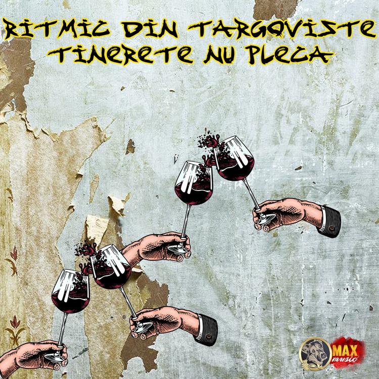 RITMIC DIN TARGOVISTE's avatar image