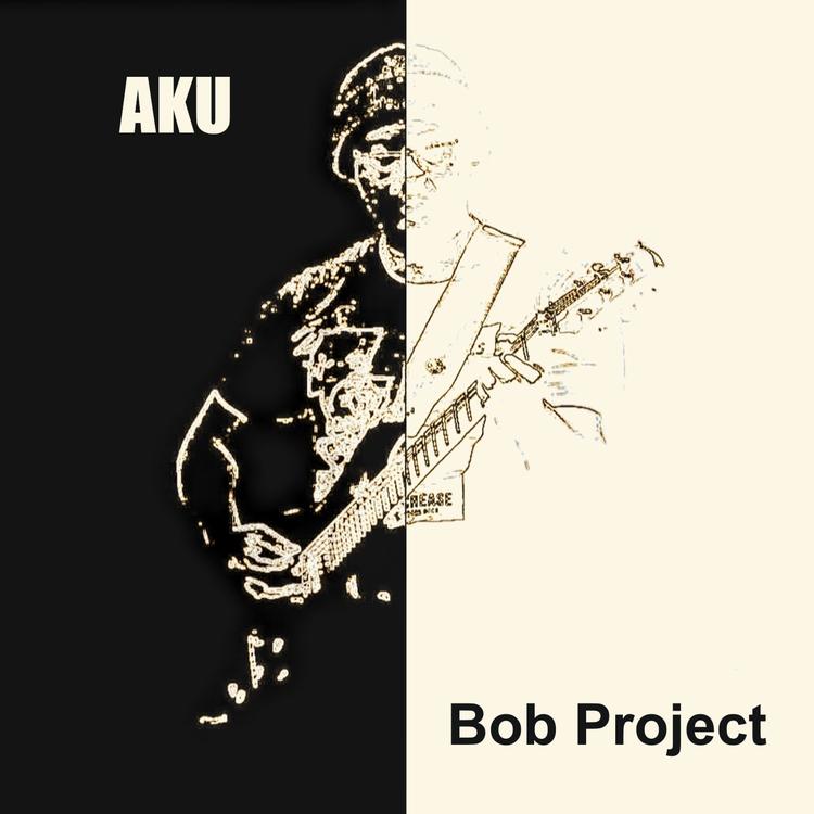 Bob Project's avatar image