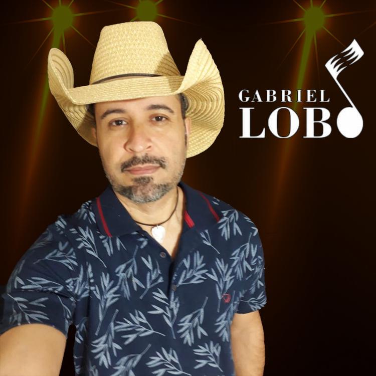 Gabriel Lobo's avatar image