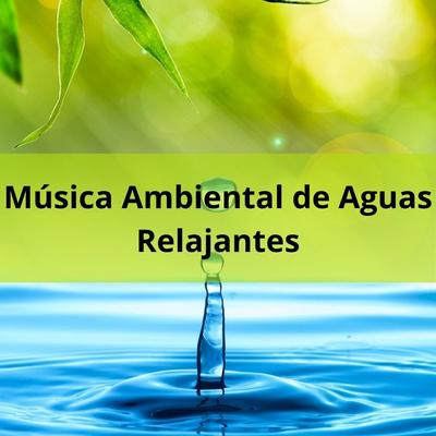 Música Ambiental de Aguas Relajantes's cover