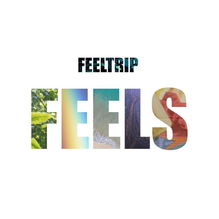 Feeltrip's avatar image