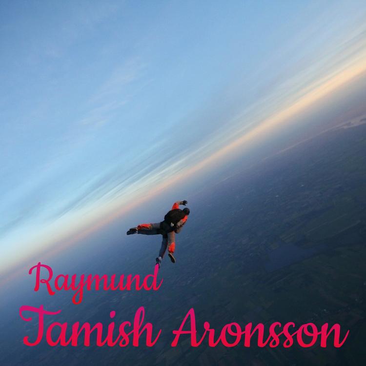 Tamish Aronsson's avatar image