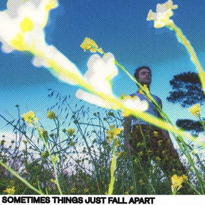 Sometimes Things Just Fall Apart's cover