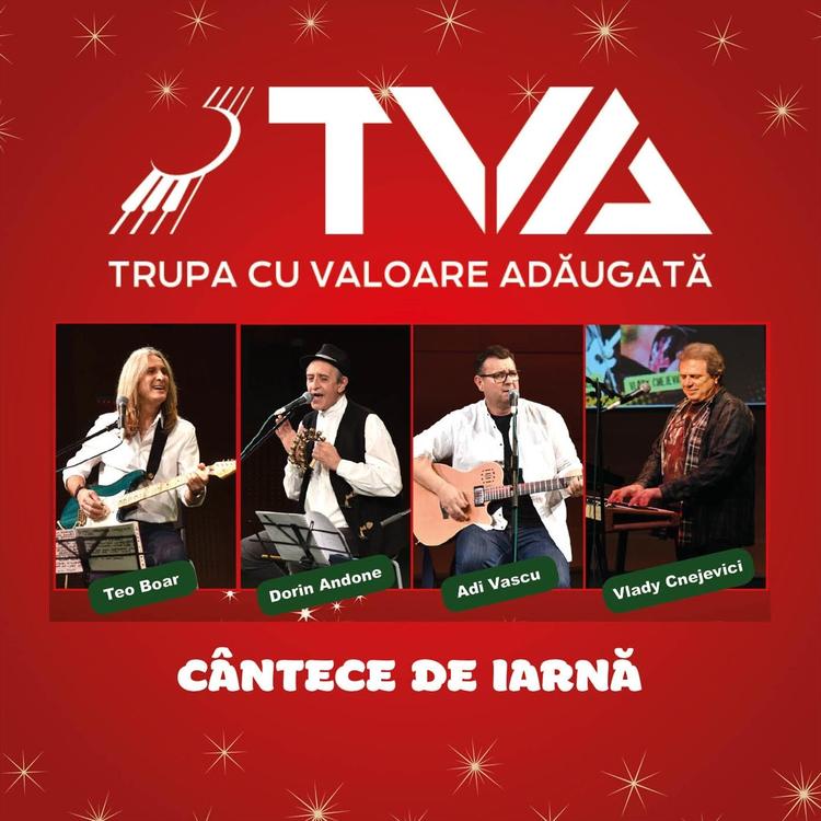 Tva-Trupa Cu Valoare Adaugata's avatar image