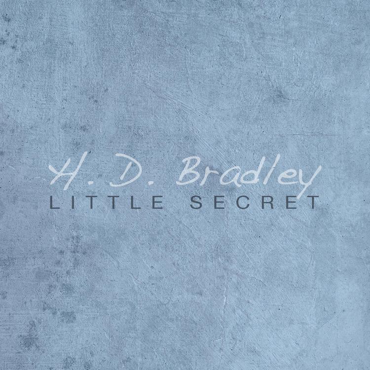 HD Bradley's avatar image