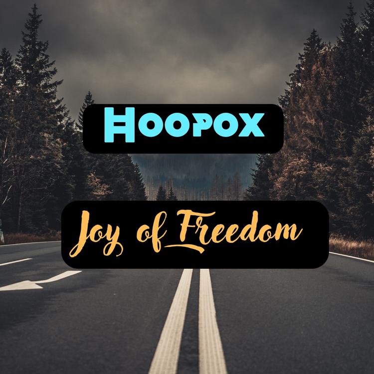 HoopoX's avatar image