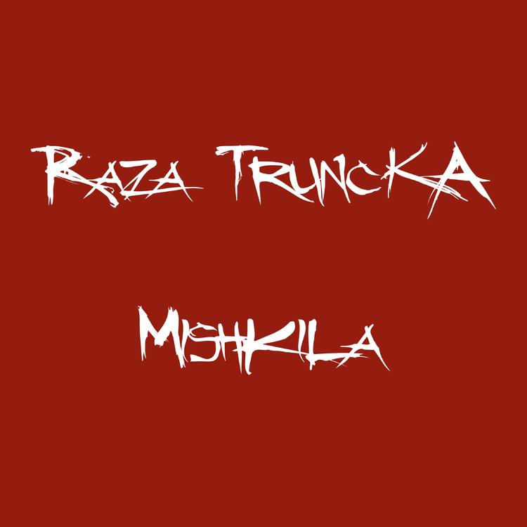 Raza Truncka's avatar image