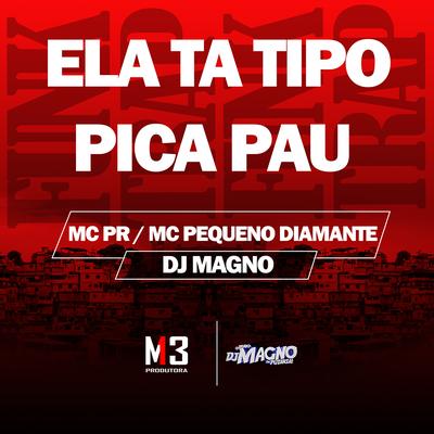 Ela Ta Tipo Pica Pau By MC PR, MC Pequeno Diamante, DJ MAGNO's cover