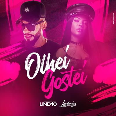 Olhei, gostei (feat. Ludmilla) By Dj Lindão, LUDMILLA's cover