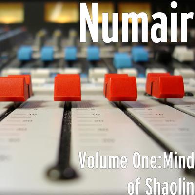 End of Shaolin By Numair's cover