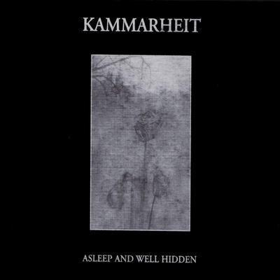 Dreamhours By Kammarheit's cover