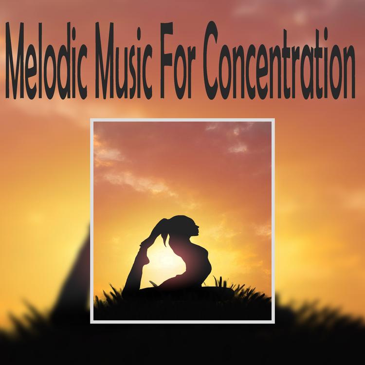 Music to Concentrate's avatar image