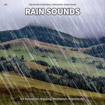 Rain Sounds, Pt. 23's cover