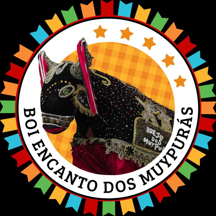 Boi Encanto dos Muypurás's avatar image