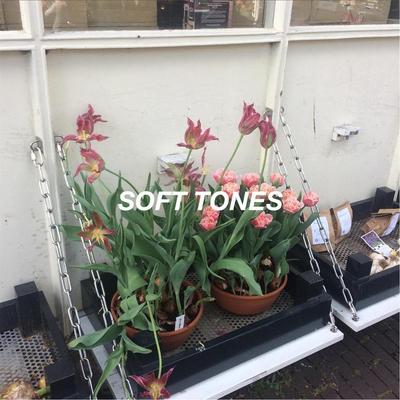 Soft Tones By Peachy!'s cover