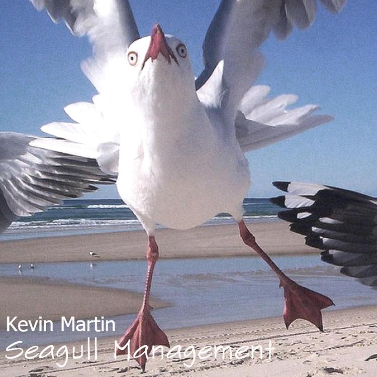 Kevin Martin Music