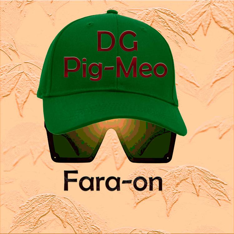 DG PIG-MEO's avatar image