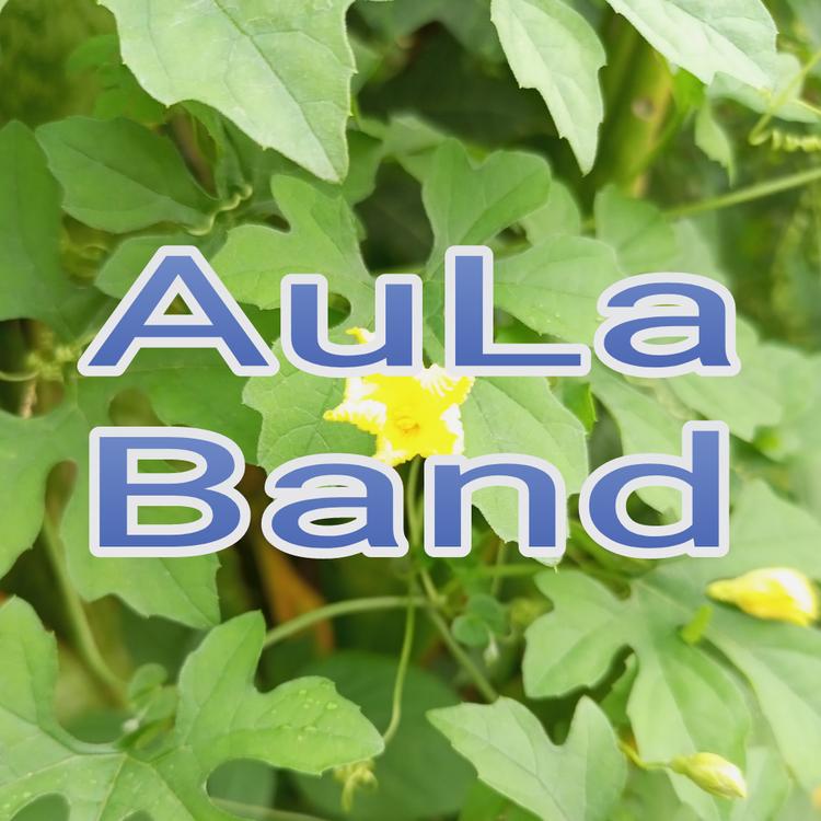 Aula Band's avatar image