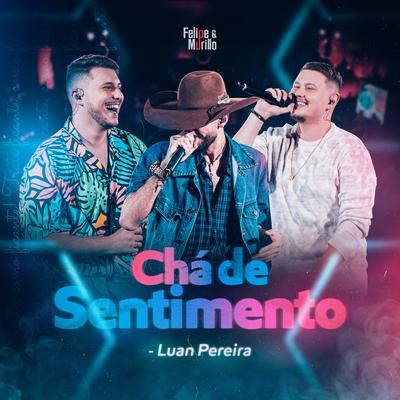 Chá de Sentimento (Ao Vivo) By Felipe & Murillo, Luan Pereira's cover