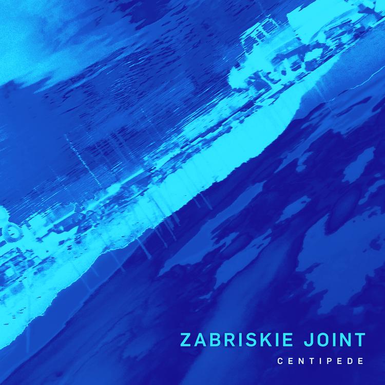 Zabriskie Joint's avatar image