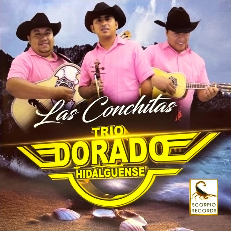 Trio Dorado Hidalguense's avatar image