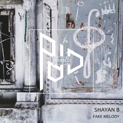 Fake Melody (Original Mix) By Shayan B's cover