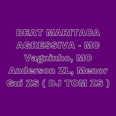 Beat Maritaca Agressiva By MC Anderson ZL, MC Vagninho, Menor Gui Zs's cover