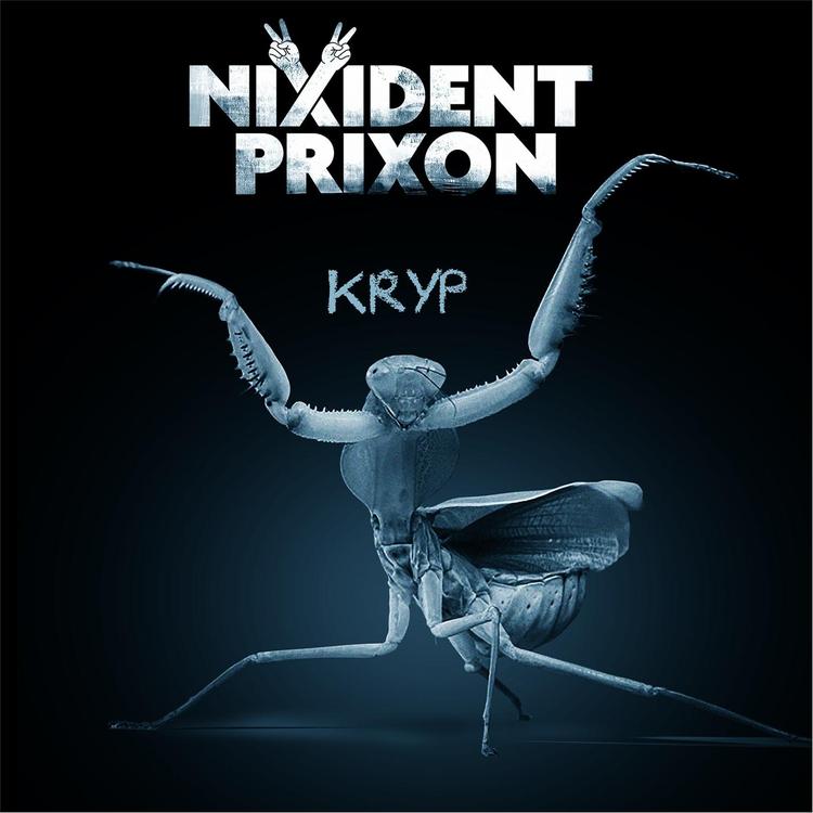 Nixident Prixon's avatar image